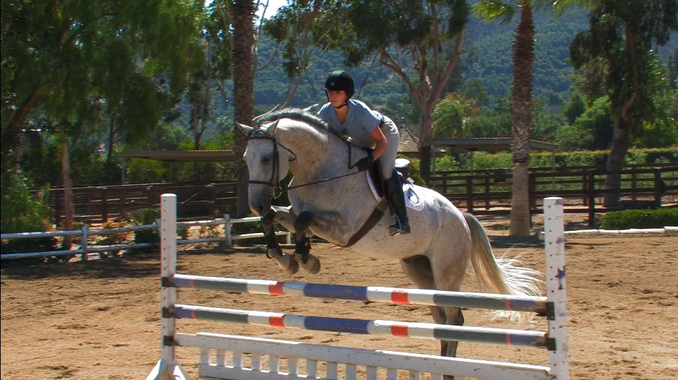 Building Blocks to a Great Position: Part 4 Jumping Phase with Zazou Hoffman