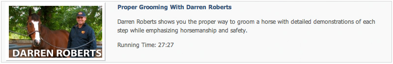 Darren Roberts - Grooming a Horse