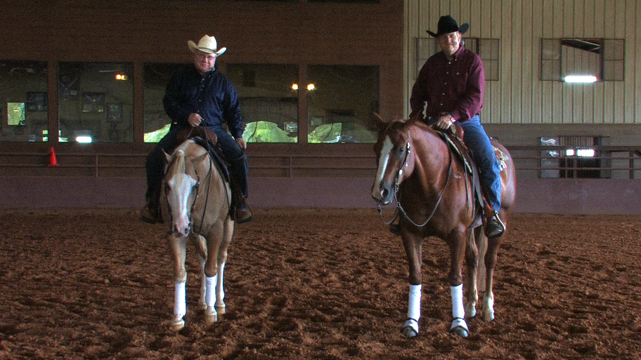 Western Horsemanship and Reining – The Basics