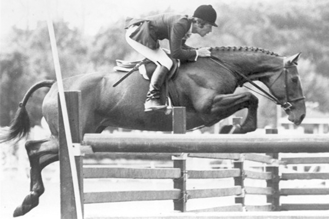 Bernie Traurig, Royal Blue, 1974, Hunter Horse