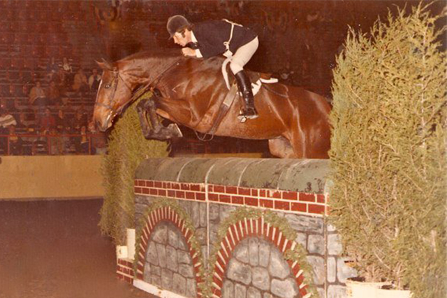 Bernie Traurig, Royal Blue, Hunter Horse, Indoors
