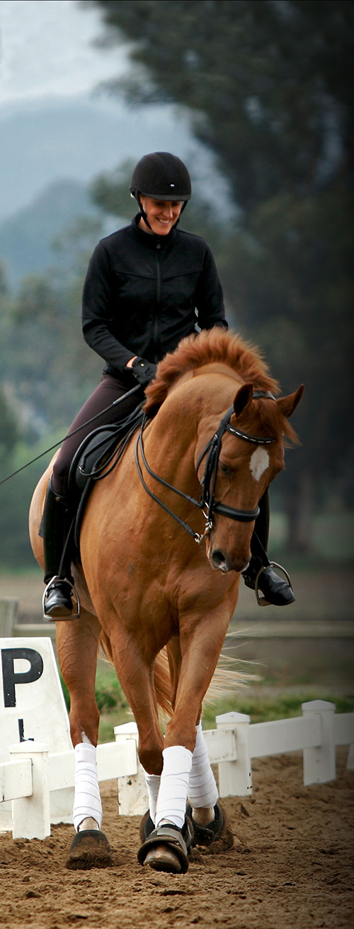 Verena Mahin Equestrian Coach