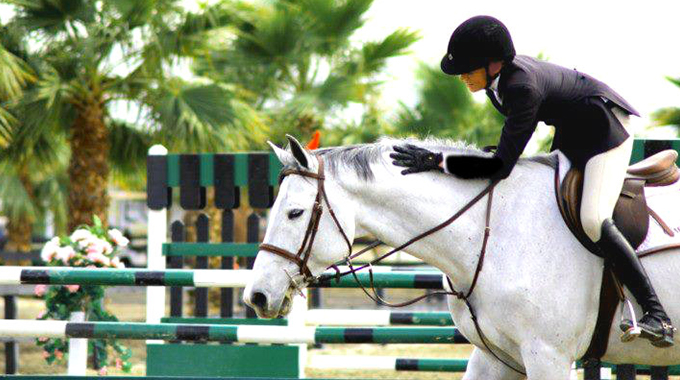 Ally Worthington, horse, jumper