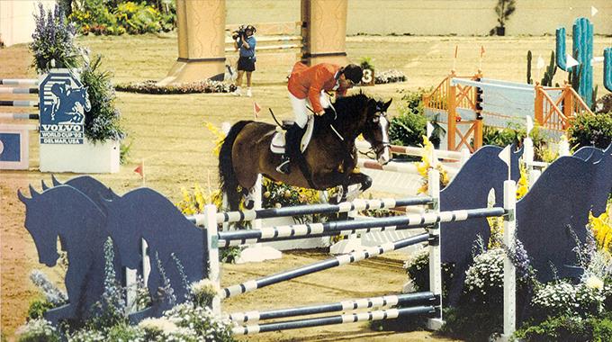bernie traurig, maybe forever, horse, showjumping