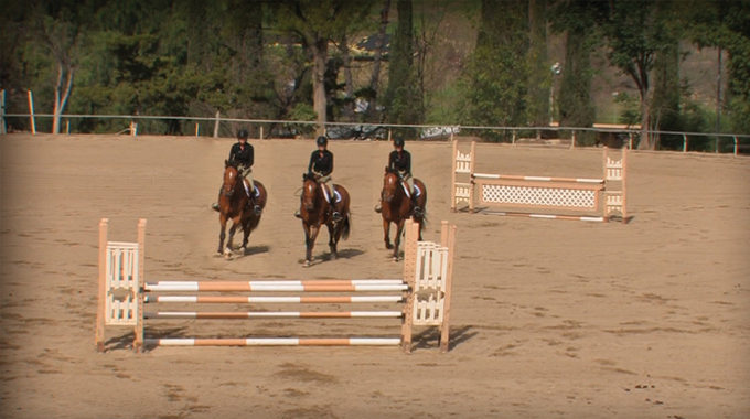 jumping a bending line on a horse