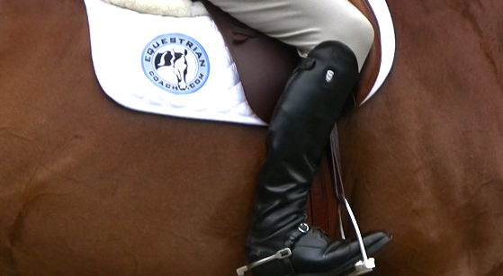 Proper Leg Placement to Encourage Prompt Downward Transitions on Your Horse