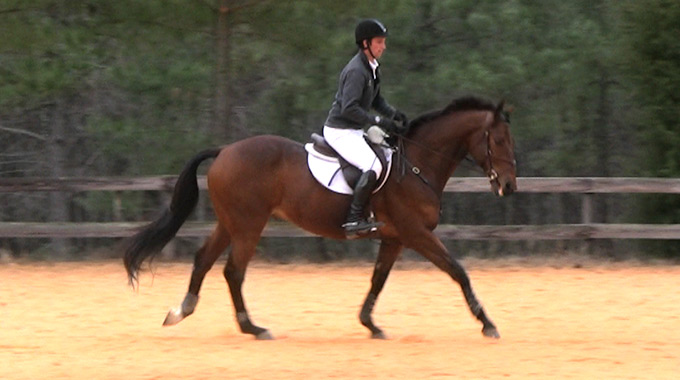 The Right Canter