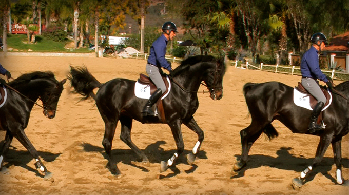 get your horse to stop changing leads at the canter