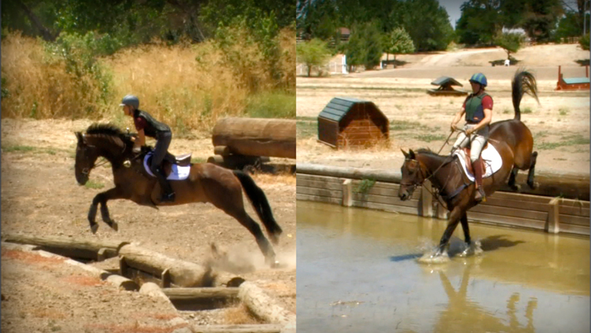 training your horse to jump ditches and water jumps on the cross country course