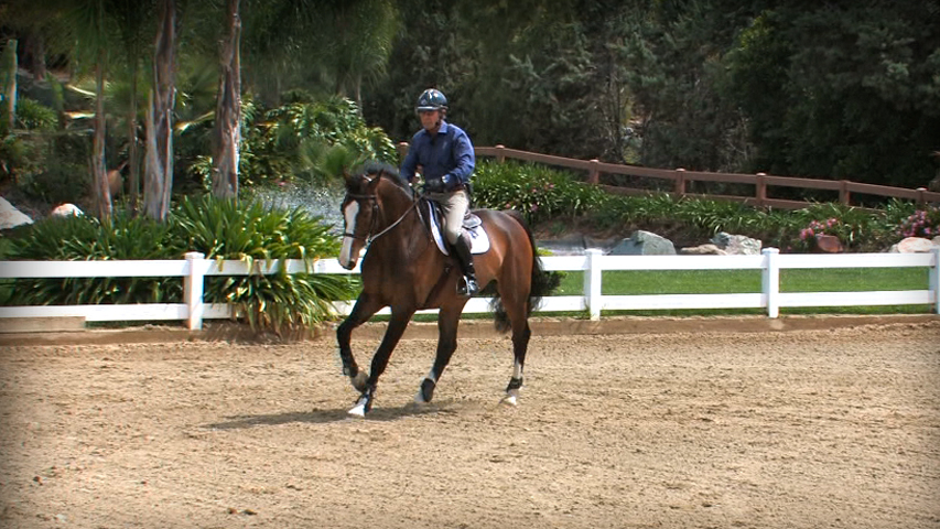 changing the bend of your horse at the counter canter