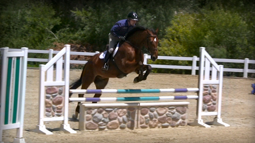 perfecting your horses rideability