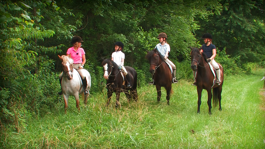 Forward Riding Series Part 8 – Riding in a Group: Teaching Riders to Safely Navigate the Arena and Field