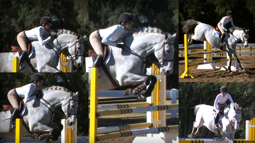learn all the releases to use on your horse over jumps