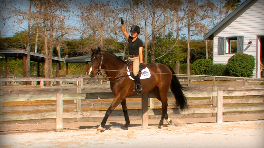 a lunge lesson to improve your riding position
