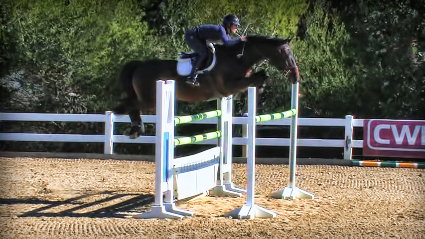 An Advanced Gymnastic School to Improve the Horse’s Jump