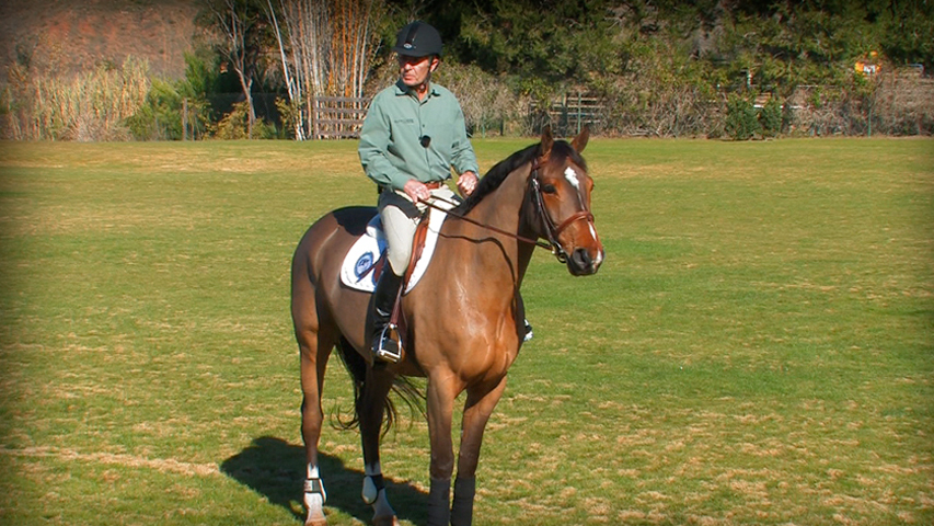 building blocks to a great position on your horse part 2