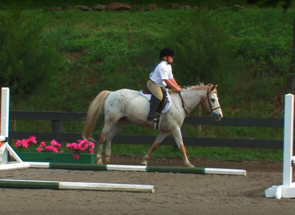 first-canter