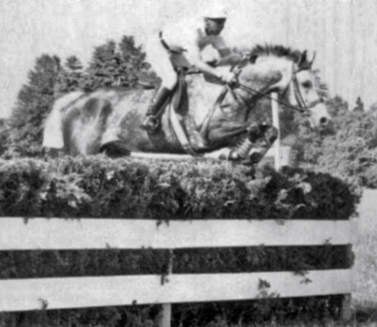 Bill Haggard during the Steeplechase phase of eventing at the 1959 Pan Am Games.