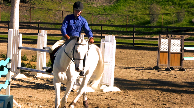 training your horse to respond to the opening rein