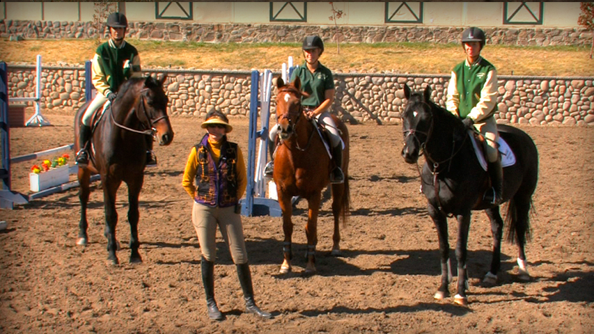 shortening and lengthening your horses stride in lines