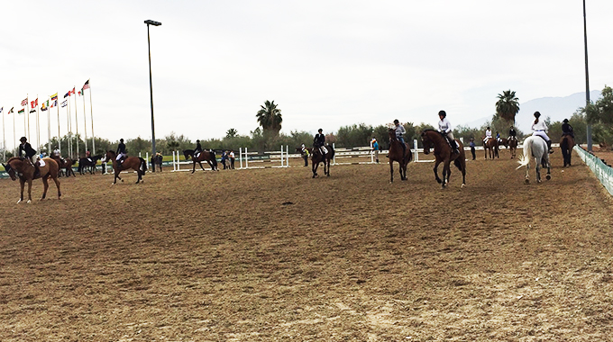warm up ring at a horse show