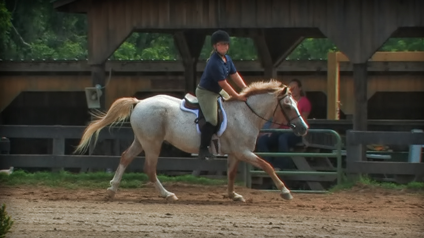 Forward Riding Series Part 16 – When and How to Determine the Canter Lead