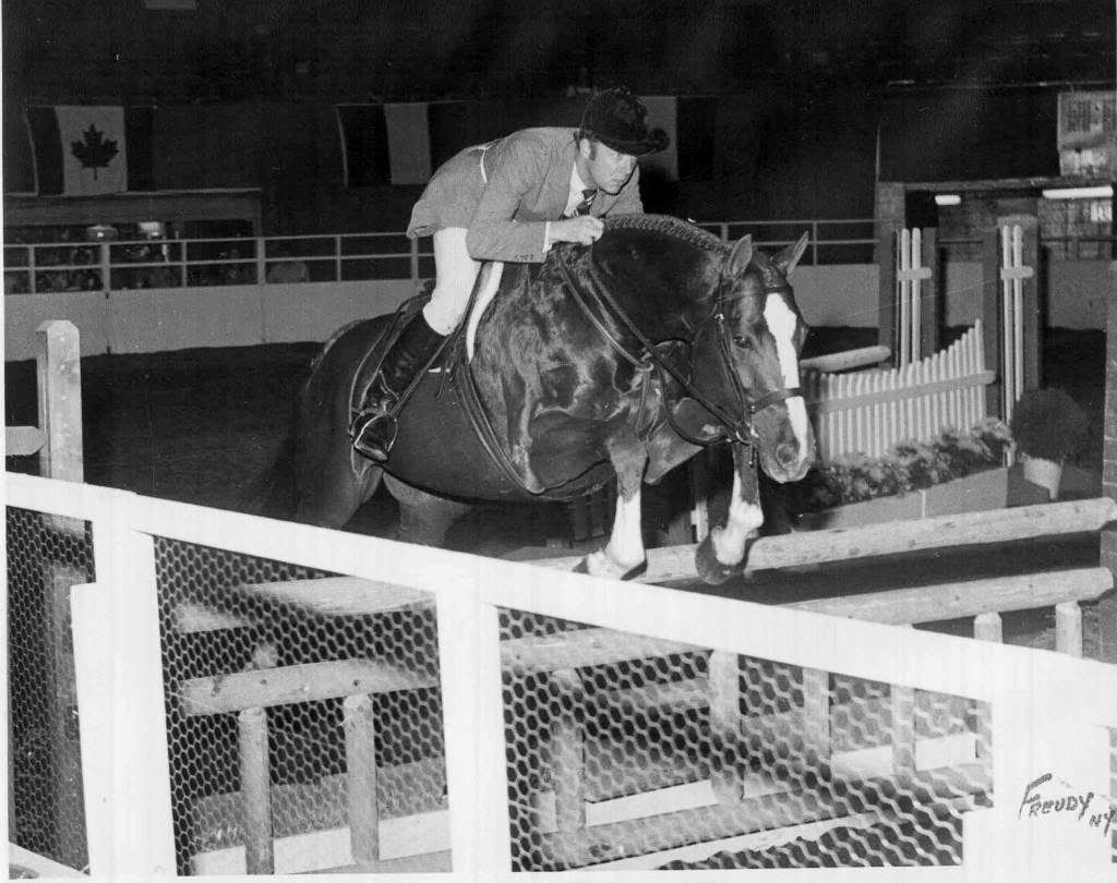 Sir Thomson, with Noel Twyman riding, at The National Horse Show in 1972