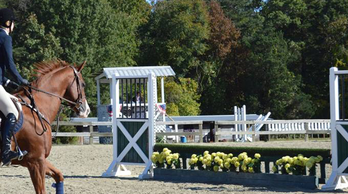 horse going to jump at horse show