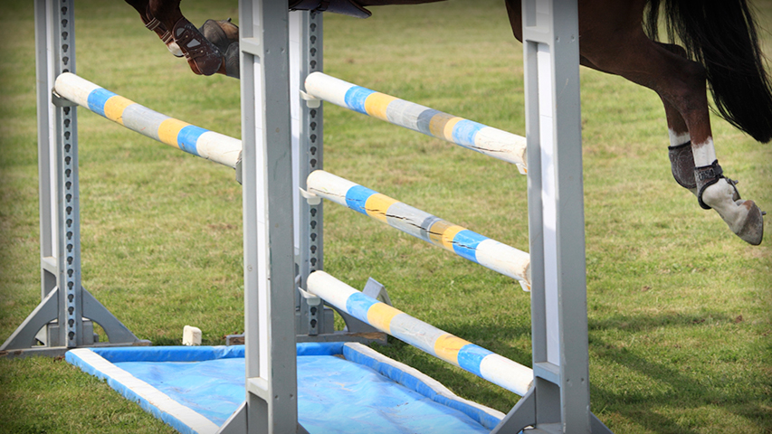 training your horse to jump a liverpool or water jump