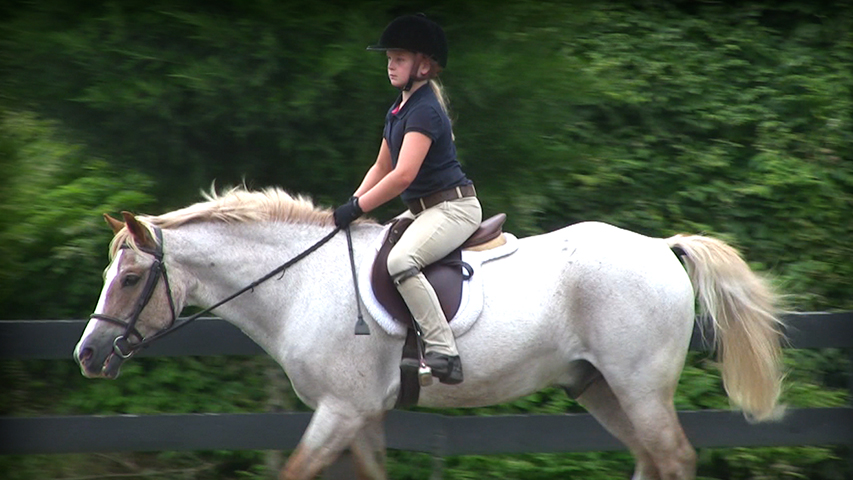 Forward Riding Series Part 18 – Longitudinal Control: Coordination of the Rider’s Hands & Legs