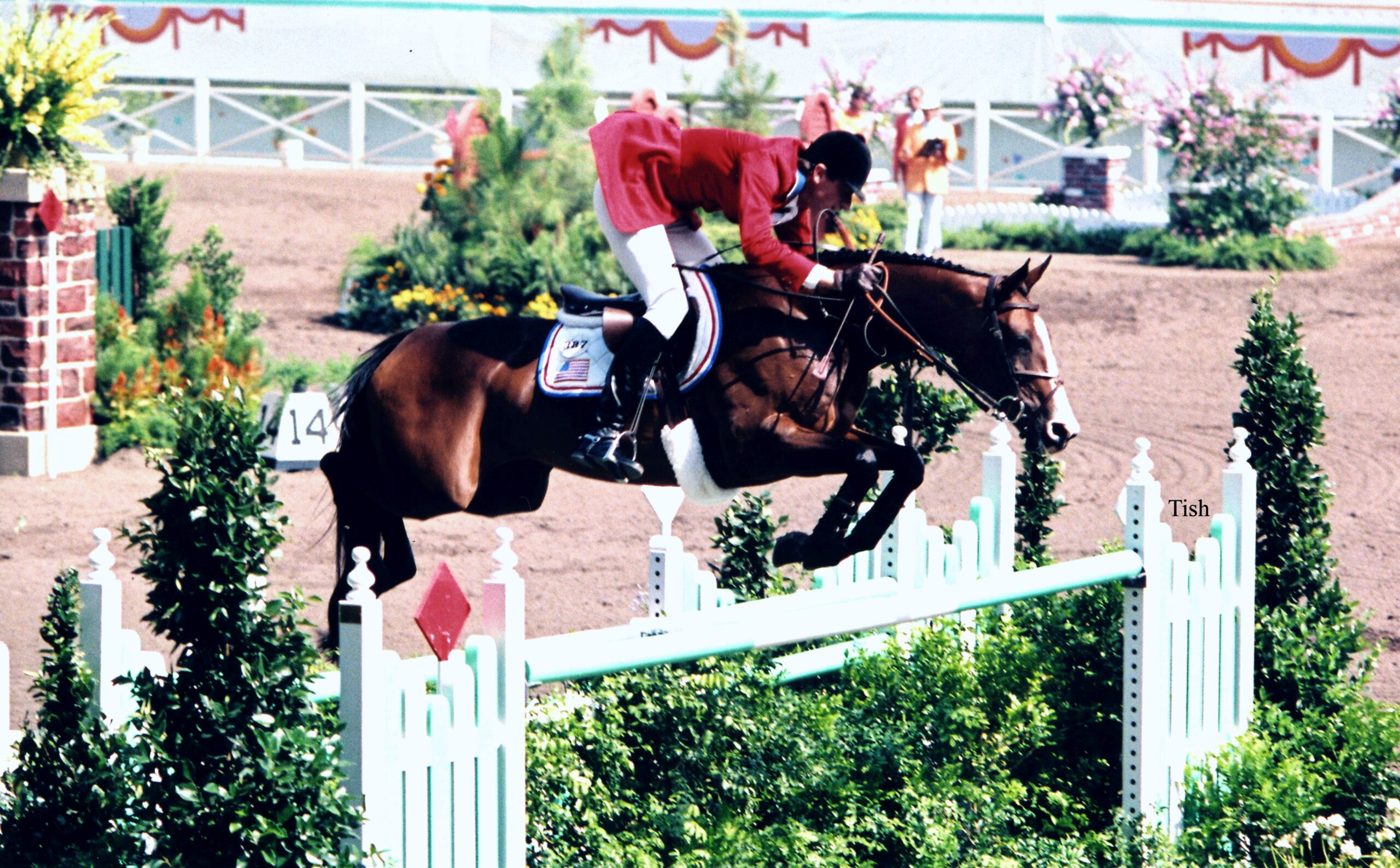 Touch Of Class with Joe Fargis riding at the 1984 Olympics. Photo by Tish Quirk.