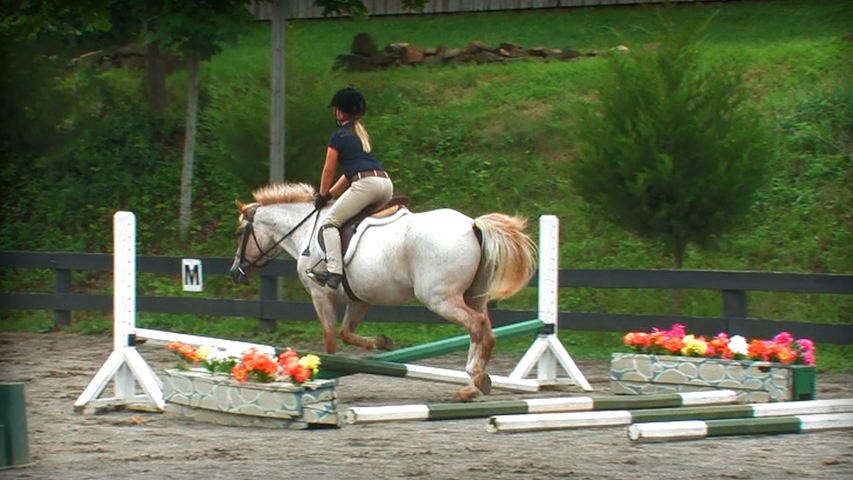 Forward Riding Series Part 20 – Learning to Jump in the Ring
