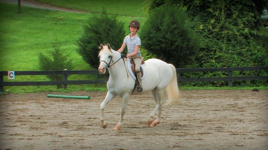 Forward Riding Series Part 19 – Lateral Control: Using the Leg & Rein Aids Together to Turn