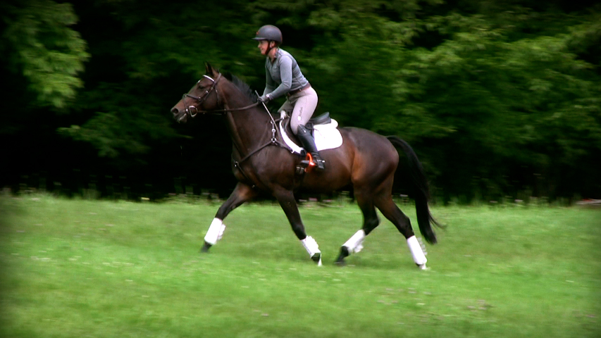 improving your horses fitness