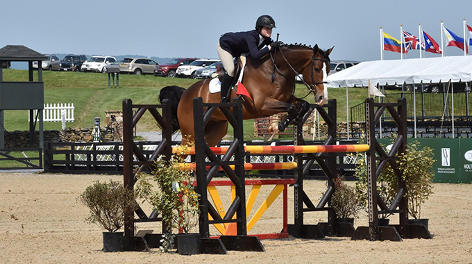 jumper horse and rider at a horse show