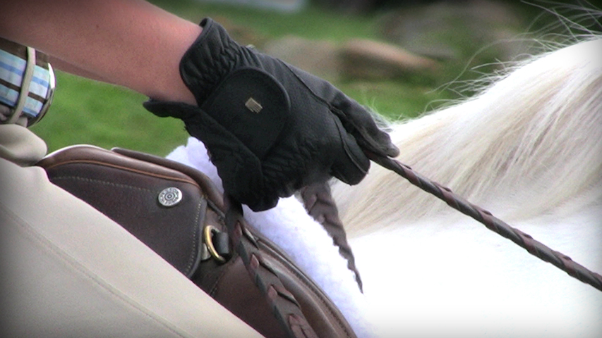 Forward Riding Series Part 21 – Steering the Horse with a Driving Rein