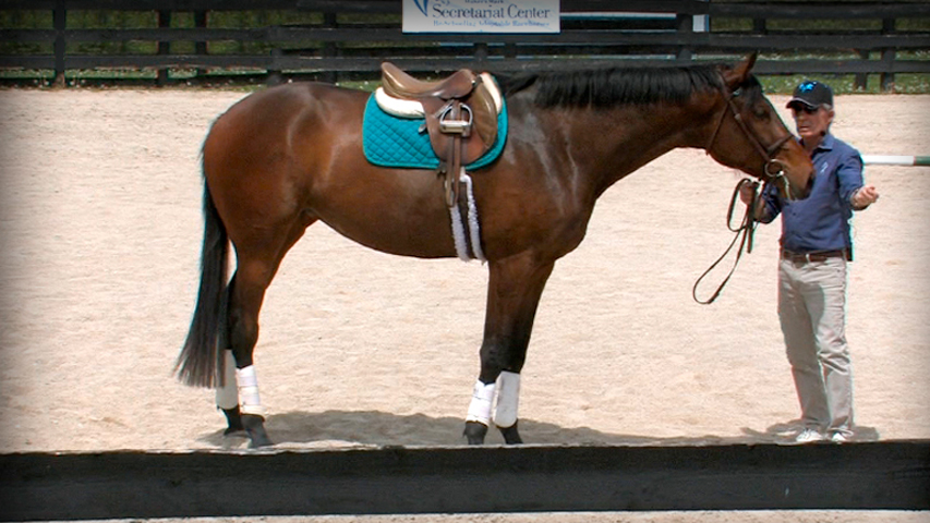 evaluating the ottb for purchase
