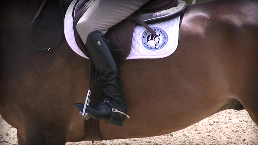 proper leg position on your horse for transitions