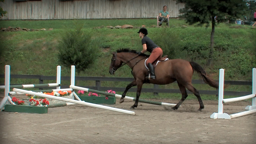 Forward Riding Series Part 23 – Learning to Jump in the Ring 2