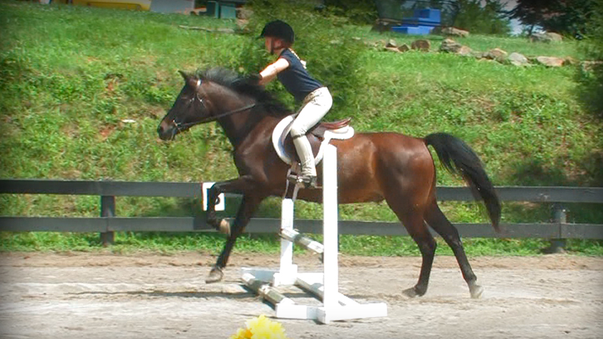 Forward Riding Series Part 24 – Learning to Jump in the Ring 3