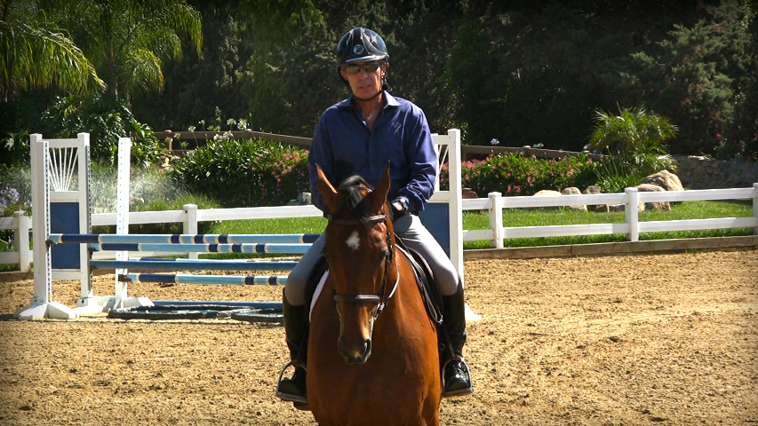 training your horse the fundamentals of flying changes