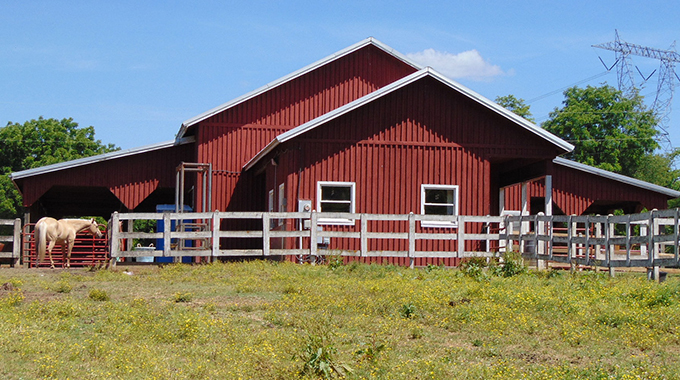 business plan for starting your own barn