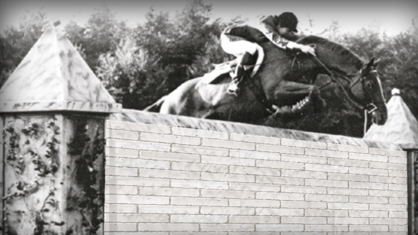 exercise to train a horse to shorten stride over combination jumps