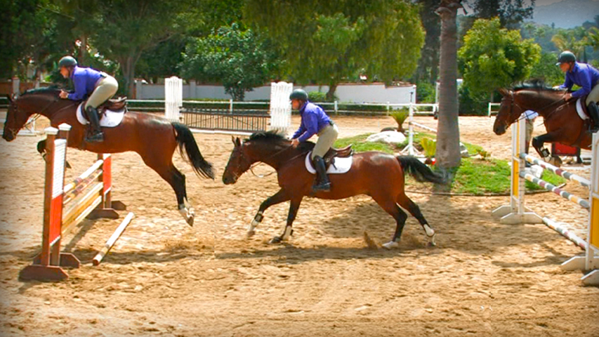 training your horse to jump a vertical combination