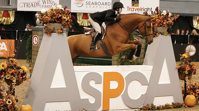 An Interview Featuring Her ASPCA Maclay National Championship Win