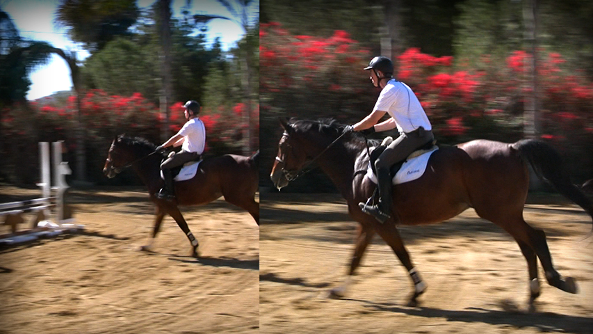 learn how to stop leaning on your horse