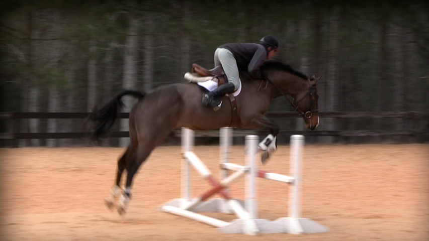 leaning forward on your horse at the jump