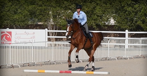 training your horses over poles on the ground