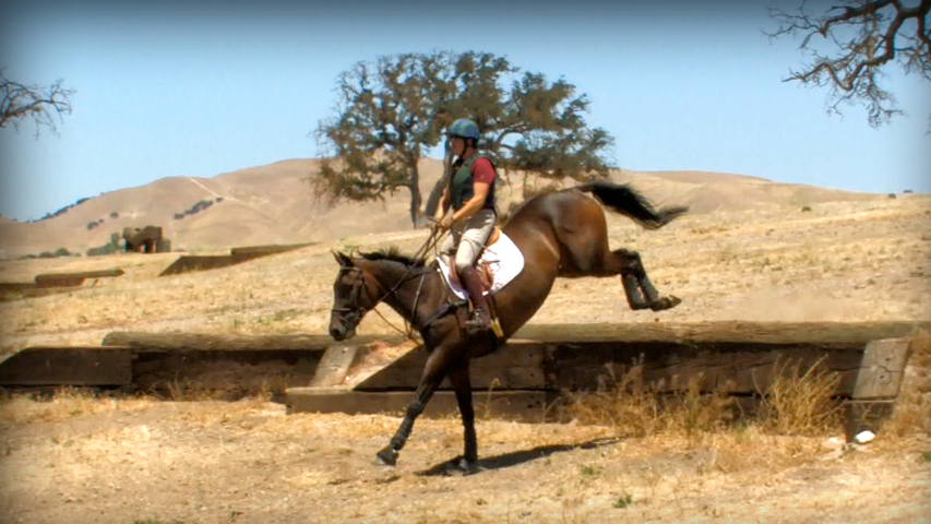 training your three day event horse to jump banks and ditches