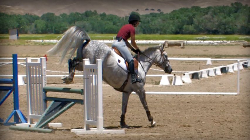 training your three day event horse to jump angle and narrow jumps